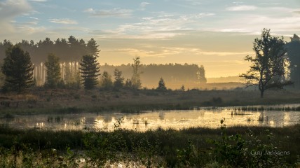 Gegidste natuurwandeling in Averbode Bos en Heide