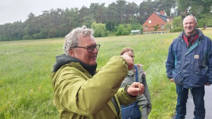 Natuurwandeling in Averbode Bos en Heide